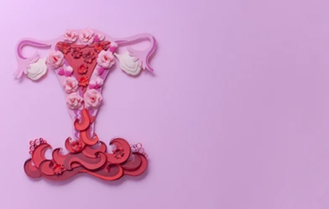 Add Image Description