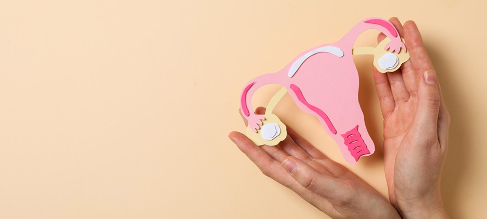 Best gynecologist doctor near me